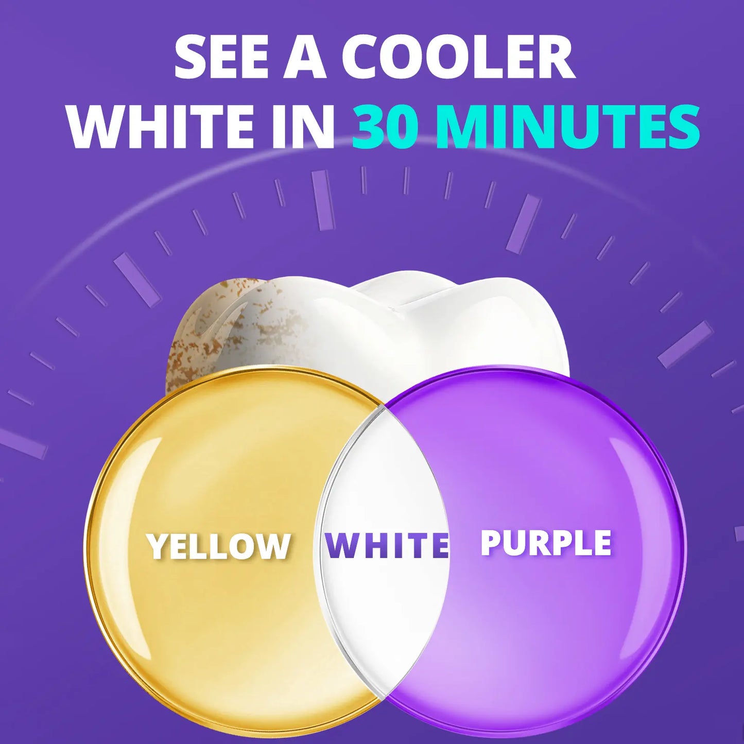 【Sakyproral】Purple Teeth Whitening Strip, 28 Strips, 7-Day Deep Whitening with Professional 6% Peroxide, No Residue, 4 Shades Whiter in 7 Days, Enamel Safe